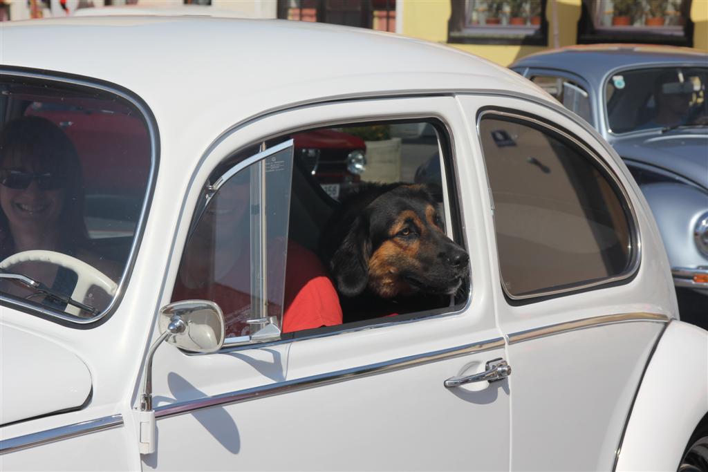 2012-07-08 14. Oldtimertreffen in Pinkafeld